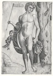 Mand med en pil, ca. 1515.
