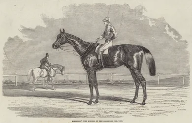 Kingston, vinderen af Goodwood Cup, 1852