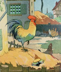 Hanen, illustration fra »Le Buffon de Benjamin Rabier«, bearbejdet efter Georges de Buffons »Histoire Naturelle« (1707-88)