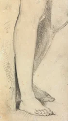 Figurstudie af ben