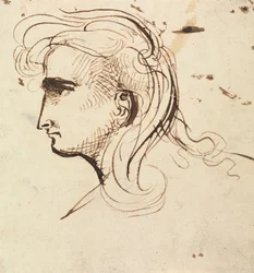 Hovedstudie