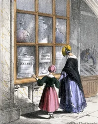 Igler og tandpulver, fra krebsdyr og krybdyr i grafiske illustrationer af dyr - viser deres nytteværdi for mennesket i deres beskæftigelse under liv og anvendelser efter døden, ca. 1845