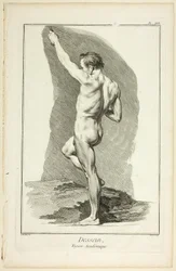 Design: Academic Figure, fra Encyclopédie