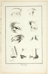 Design: Facial Anatomy fra Encyclopédie