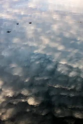 Refleksioner af skyer og fugle på Garonne-flodens overflade i Toulouse, Haute-Garonne (foto)