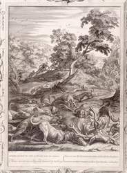 Actaeon forvandlet til en kronhjort og fortæret af sine hunde, 1731
