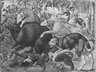 The Hunts of Maximilian, Stenbukken, The Boar Hunt, detalje af hunde, der angriber ornen, Gobelins Factory se også 138999, 345944 billedtæppe bw foto