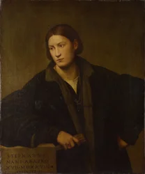 Portræt af Stefano Nani, 1528