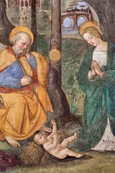 Tilbedelse af hyrderne (tilbedelse af hyrderne) Detail Fresco af Pinturicchio (Bernardino di Betto) (1454-1513) 1484-1492 (Kirken Santa Maria del Popolo), Basilikaen Santa Maria del Popolo, Cappella Basso della Rovere Rom Italien