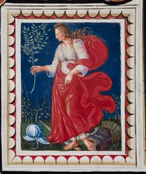 Piccolomini-biblioteket, loftet, panel med allegori om fred, fresko af Bernardino di Betto, kendt som Pinturicchio.