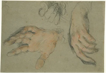 Study of Three Hands, 1625-30 (sort og rødt kridt på papir)