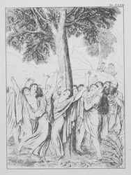 Dantes Guddommelige Komedie, Purgatorio (Skærsilden), planche XXXIII (litografi)