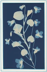 Uden titel,ca. 1900 (foto)