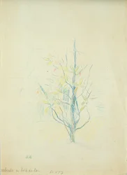 Buske ved søen, 1893 (farvet blyant på papir)