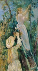 Fransk:  Le Cerisier