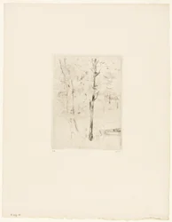 Søen i Bois de Boulogne