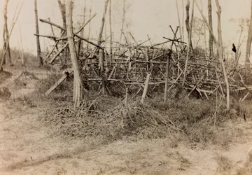 Album af Første Verdenskrig i Friuli-Venezia Giulia: defensiv hindring (frisiske heste), 05/1916 (s/h foto)