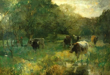 Valley Græsgang, Marsh Meadows
