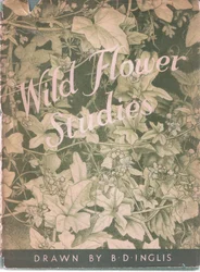 Forside, 1951