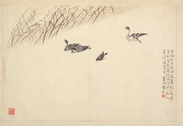 Album med kalligrafi og malerier, 1700-tallet.