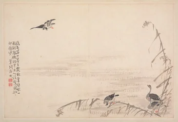 Album med kalligrafi og malerier, 1700-tallet.