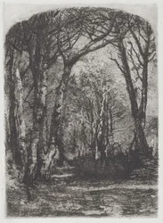 Woods [Bosco], ca. 1895.