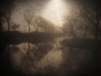 Refleksion i den tågede skov