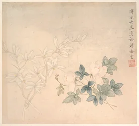 Studie af blomster