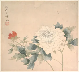 Studie af blomster