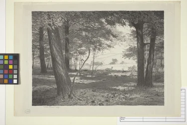 Edge Of The Woods (blæk på papir)
