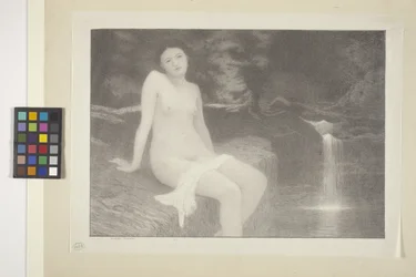 Sylvia (blæk på papir)