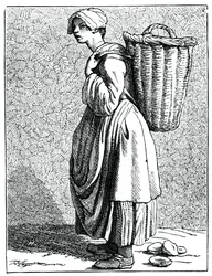 Østers i skallen!, 1737-1742.
