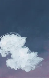 Indigo-natteskyer