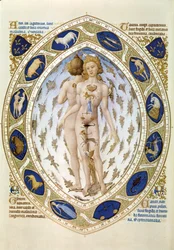 Den menneskelige krop og horoskopet, fra "Les Tres riches Heures du Duc de Berry", ca. 1411-16 (miniature)