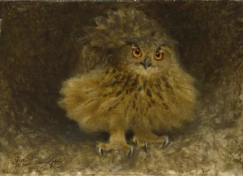 En Ørneugle, 1905