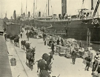 Troppeskibe ved Port Tampa, Florida, USA, Spansk-Amerikanske Krig, 10. juni 1898, 1899.