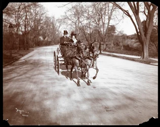Anna Held og Florenz Ziegfeld kører hestevogn, New York, 1904 (sølv gelatinetryk)