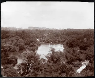 Udsigt over Central Park fra Plaza Hotel, 5th Avenue og 59th Street, New York, 1907 (sølv gelatinetryk)