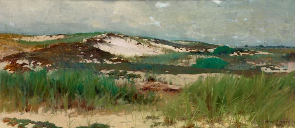 Nantucket Sand Dune, ca. 1890.