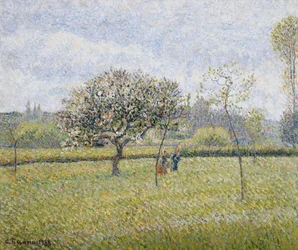 Æbletræ i blomst ved Eragny; Pommier en Fleur a Eragny, 1888