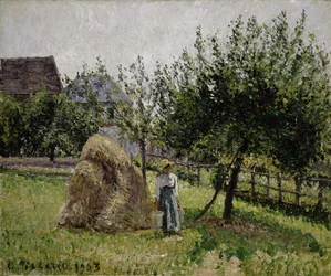 Æbletræer i Eragny, solrig morgen, 1903
