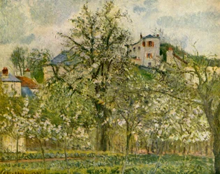 Køkkenhave med blomstrende frugttræer, 1877, 1939.
