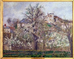 Forår, blommeblomster i Pontoise - olie på lærred