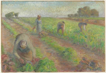 Roehøsten, 1881 (gouache over grafit på linned)