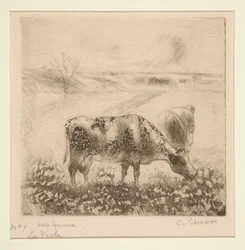 La Vache (Koen)