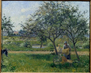 Trillebøren, frugthave Maleri af Camille Pissarro (1830-1903) ca. 1881. Søn. 0,54x0,65 m Paris, Musee d