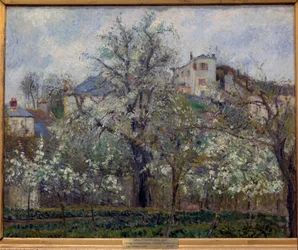 Køkkenhave og blomstrende træer om foråret i Pontoise, blomstrende blommetræer, 1877, mål 0,65 x 0,81 m, Paris, Musée d
