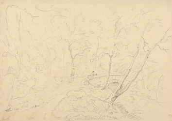 Holne Chase Bridge and River, 30. maj 1833
