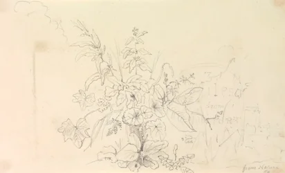Skitse af planter og en milepæl fra naturen, 3. juni 1826