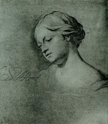Kvindelig hovedstudie